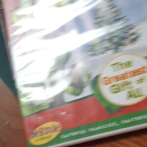 Green Reptile Habitat Ornament